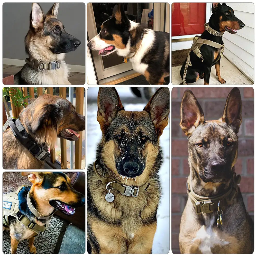 Tactical Dog Collar & Leash