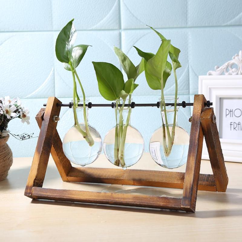 Desktop Glass and Wood Vase Planter