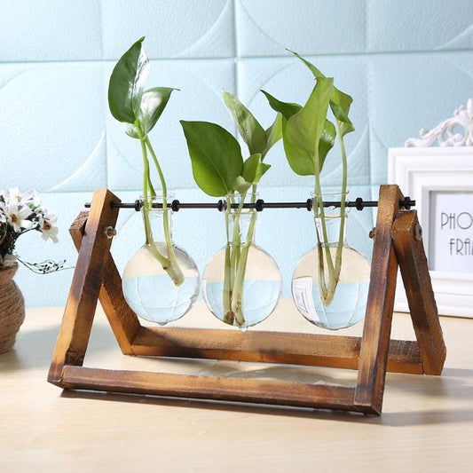 Desktop Glass and Wood Vase Planter
