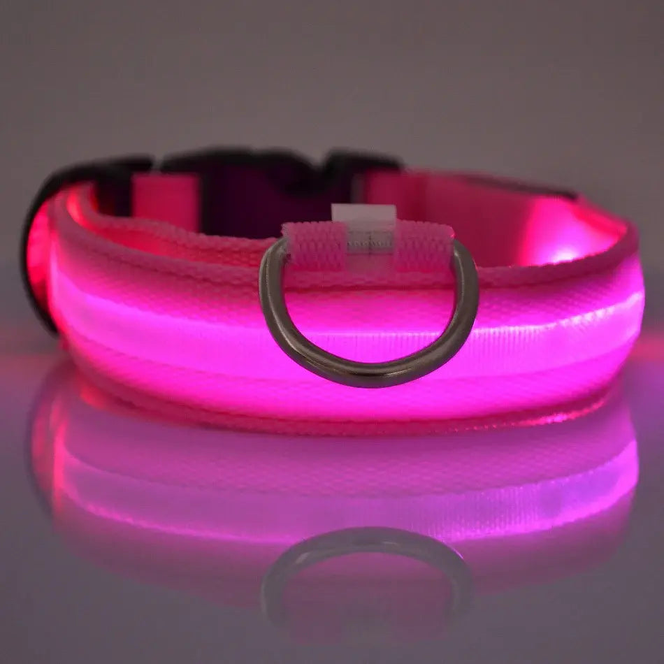Flashing Glow Pet Collar